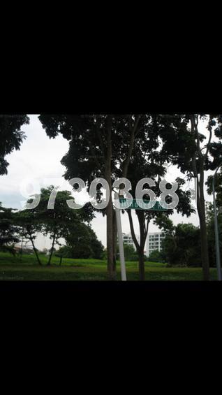 The Raintree (D21), Condominium #112199942